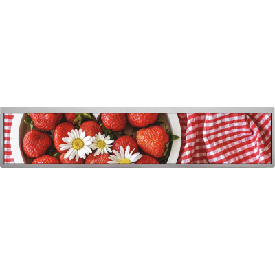 DLC 19 Inch LCD Module, 700 cd/m²