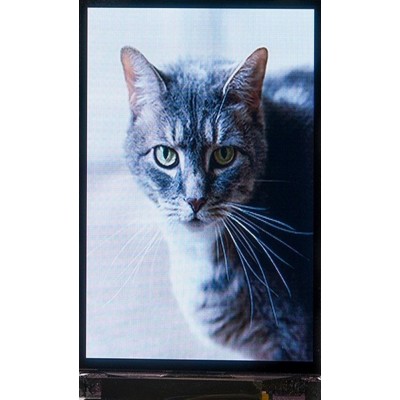 2.0 inch TFT-IPS module with a resolution of 240 x 320 RGB