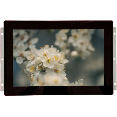 Digiwise 10.1 Inch Drone Controller Display