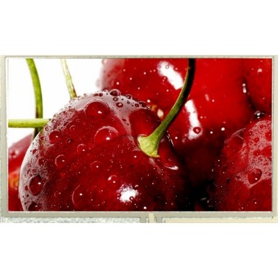 Pantalla TFT legible a la luz del sol de 4,3 pulgadas con 1200-1400cd/m2 de Santek Technology