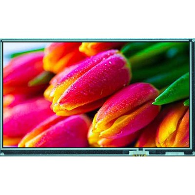 Pantalla TFT legible a la luz del sol de 7,0 pulgadas con luminancia de 1000 cd/m2